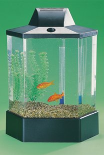 hexagon plasic aquarium