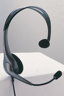 Littlewoods-Index mono 331