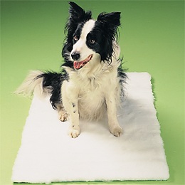 PET BEDDING