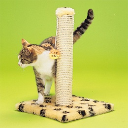 SCRATCH POST