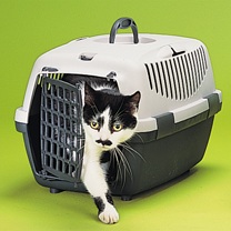 small pet carrier