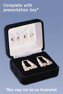 Littlewoods-Index TWO-COLOUR GOLD CREOLE EAR-RINGS