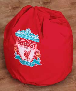 Beanbag Cover