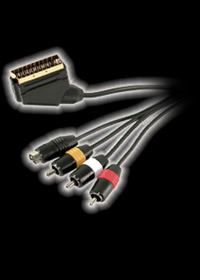 Multi-Format Scart/AVS Cable PS2