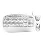 Logitech Cordless Desktop Optical White Keyboard - OEM
