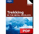 Trekking in Nepal Himalaya - Trekkers
