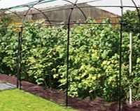 LONG Narrow Fruit Cage with Zip Net