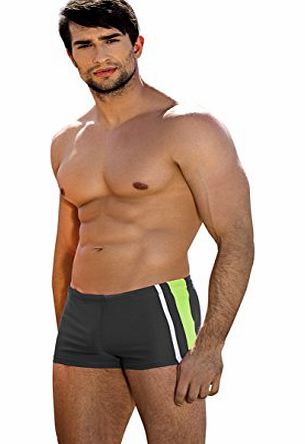 Lorin Men swimming trunks boxer SWIM shorts swimwear pants (XXL, Grey)