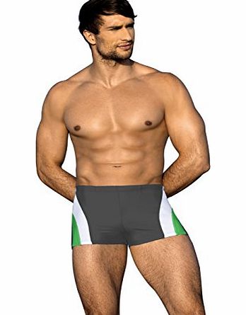 Lorin Mens Swimwear Boxers Swimming Trunks Swim Shorts Slim Beach Pants (XL, Graphite)