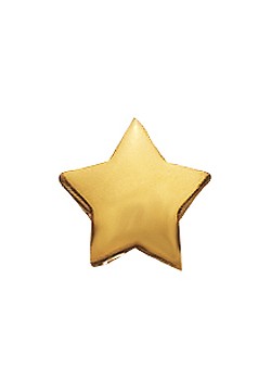 Gold Star Charm 380647