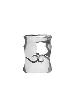 Lovelinks Silver Aquarius Charm 1180841
