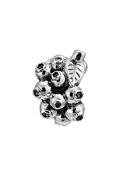 Lovelinks Silver Blueberries Charm 1180139