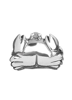 Lovelinks Silver Cancer Charm 1180846
