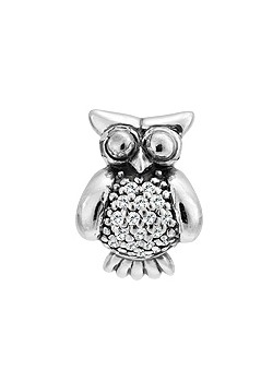 Lovelinks Silver Clever You Owl Charm 1182537-75