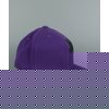 LRG Core Collection Four Stretch DS Cap (Purple)