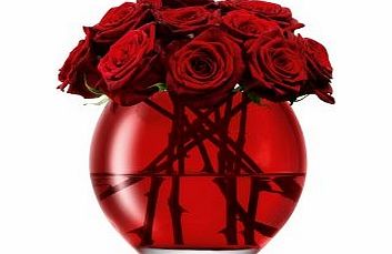 LSA Milo Vase Red Vase- 16cm
