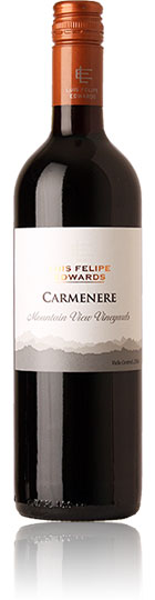 Luis Felipe Edwards Mountain View