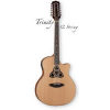 Luna Trinity Series Dreadnought 12 String