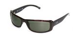 Luxottica Ray Ban Sunglasses RB 4088 TRANSPARENT DARK RED(60)