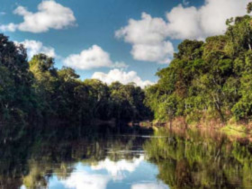 Luxury holidays to the Amazon, Brazil