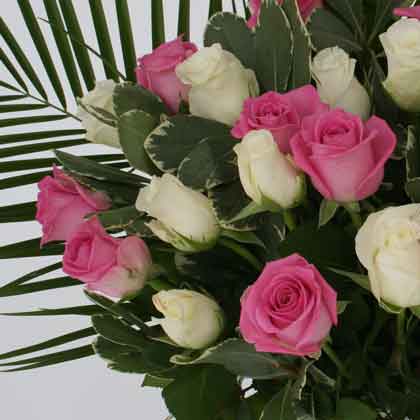 Luxury Pink/White Roses