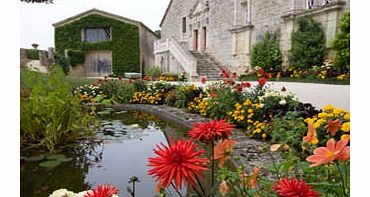 Luxury Six Day Cooking School Holiday in