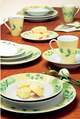 LXDirect botanical 16-piece dinner set