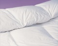 LXDirect goose down duvet
