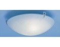 plug in flush utility ceiling light