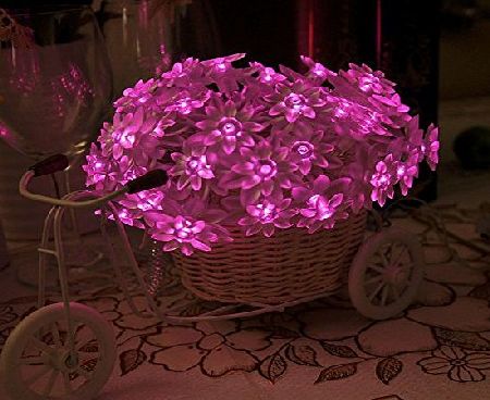 Lychee 4m 40LED Battery Double-deck Lotus Flower LED Fairy String Lights for Outdoor Indoor Wedding Garden Home Party Christmas Decoration (Pink)