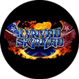 Lynyrd Skynyrd 30 Years Flaming