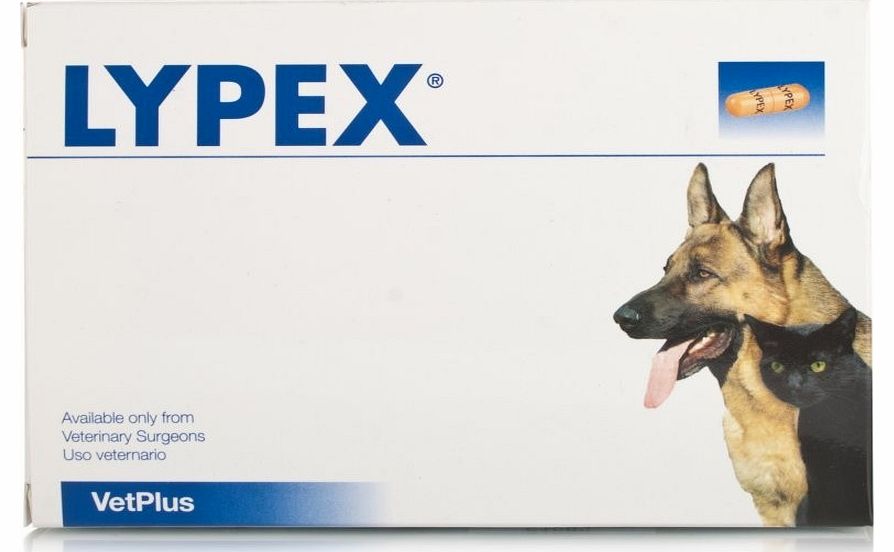 Lypex Capsules