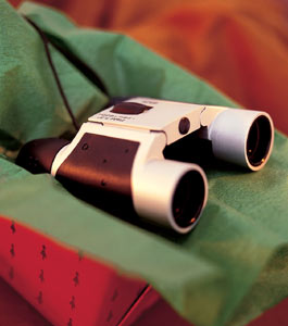 8x magnification Binoculars