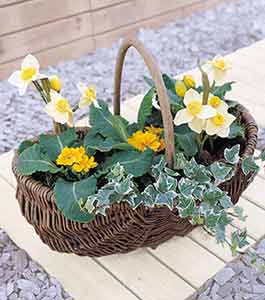 Garden Basket