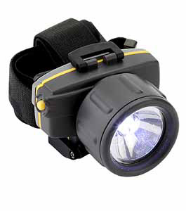 Head mounted torch