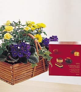 Log Basket & Chocolates