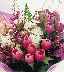 M&S Tulip Bouquet