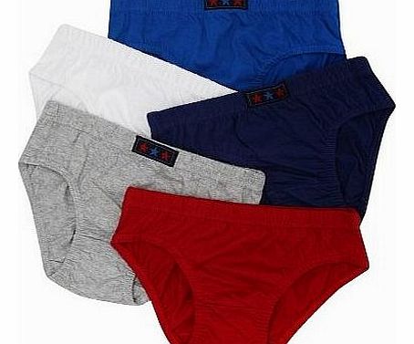 Boys Five Pack Of Brightly Colours Classic Cotton Basic Briefs Multicolour 7/8 Yr
