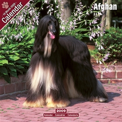 Afghan Wall Calendar: 2009