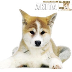 Akitas Wall Calendar: 2009