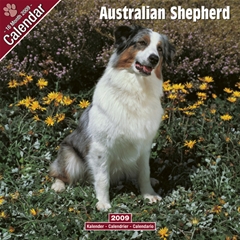 Australian Shepherd Wall Calendar: 2009