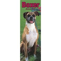 Magnet and Steel Boxer Slim Calendar: 2009