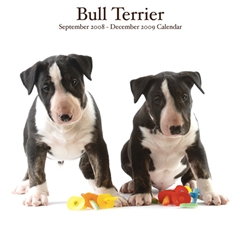 Magnet and Steel Bull Terriers Wall Calendar: 2009