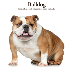 Bulldogs Wall Calendar: 2009
