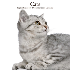 Cats Wall Calendar: 2009