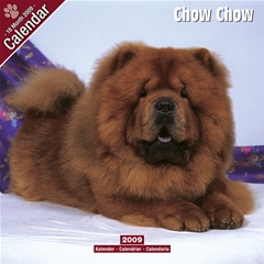 Magnet and Steel Chow Chow Wall Calendar: 2009