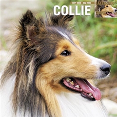 Magnet and Steel Collies Wall Calendar: 2009