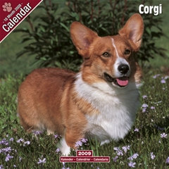Corgi Wall Calendar: 2009