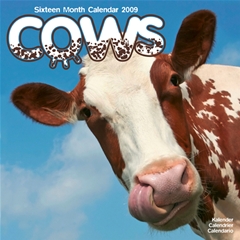 Cows Wall Calendar: 2009