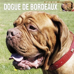 Magnet and Steel Dogue De Bordeaux Wall Calendar: 2009